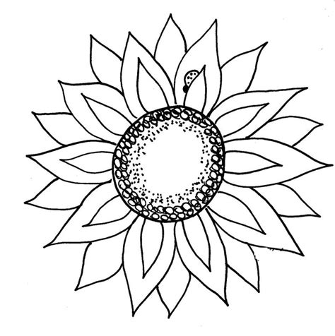 We have collect images about outline sunflower drawing easy including images pictures photos wallpapers and more. Sunflower Outline Drawing at GetDrawings | Free download