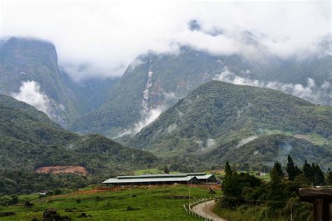 Which include tourism, foods and beverage, farm, factory and management. Everything About Wood: Desa Cattle Dairy Farm, Kundasang