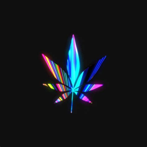 Fun Weed  By Fasiha Rauf Find And Share On Giphy