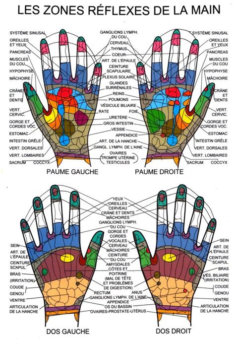 La Réflexologie Plantaire Et Palmaire Carine Desbouvrie