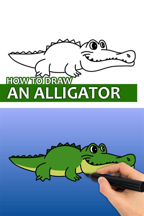 Learn How To Draw An Alligator With This Step By Step Drawing Tutorial