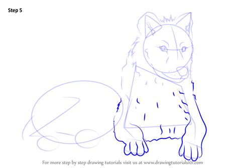 How To Draw An Arctic Wolf Antarctic Animals Step By Step