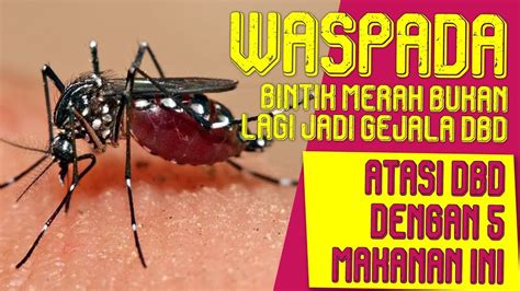 Di antara banyak kejutan yang ditemukan orang tua baru tentang kulit bayi, kebanyakan kulitnya tidak terlahir dengan kulit halus. NEWS: Awas, Sekarang Bintik Merah Bukan Lagi Jadi Gejala ...