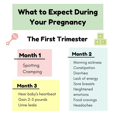 How Far Along Am I In My Pregnancy Your Week By Week Pregnancy