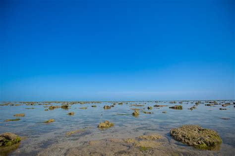 Visit Marine National Park Pirotan Island Jamnagar