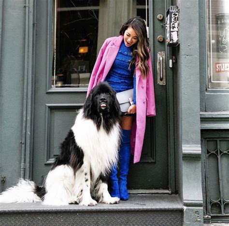 But generally, remember that the stress is on the land, so that newfoundland rhymes with understand or `a place so grand'. Newfoundland dog 🖤 | Jewel tone colors, Uber ride, Wendy ...