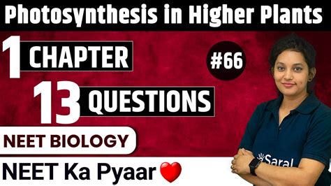 Photosynthesis In Higher Plants Plant Physiology Class 11 Ch13 Neet