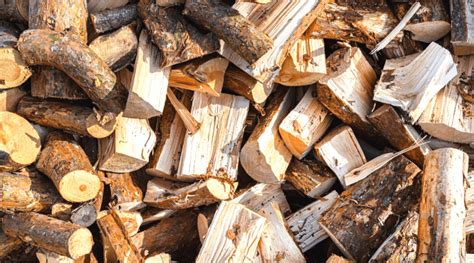 Is Pine Good Firewood A Guide To Burning Pinewood Backyard Boss