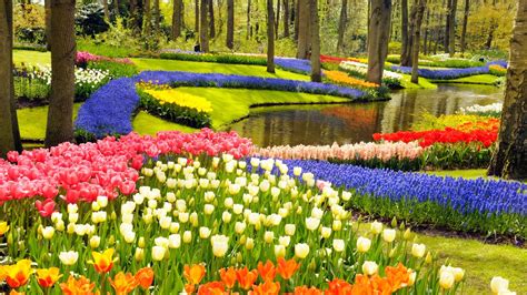 Keukenhof The Most Beautiful Spring Garden ~ Travell And Culture