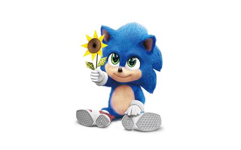 Download Wallpapers Sonic With Flower 4k Shadow The Hedgehog