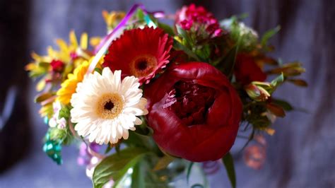 Download Wallpaper 2048x1152 Gerbera Peony Bud Flower Bouquet