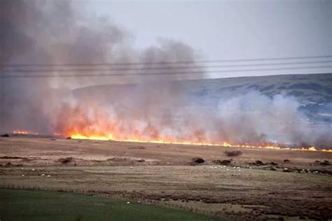 Borth Bog Fire Peatland Will Recover From Blaze Say Experts Daily Post