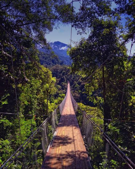 Untuk wisatawan yang hanya berkunjung tanpa kegiatan. Harga Tiket Masuk Jembatan Gantung Situ Gunung Sukabumi Juli 2020 | Wisatakaka