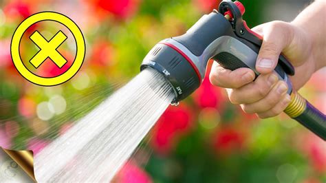 Watering Your Garden The Right Way How Much And How Often Gkvks