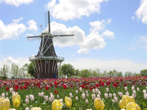 Para descargar correctamente conozca las dimensiones de su dispositivo click aqui de graafschap, logo, netherlands, football. Michigan: de Hollandse enclave en toerisme