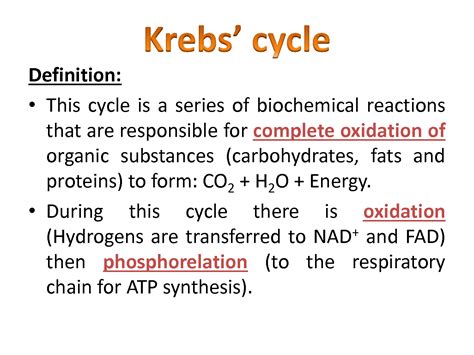 Solution Krebs Cycle Studypool