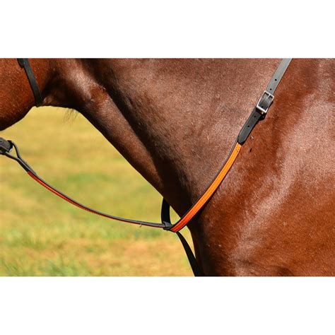Standing Martingale Made From Beta Biothane
