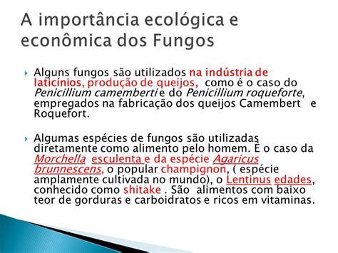 Cite Dois Exemplos Que Representa A Importância Econômica Dos Fungos