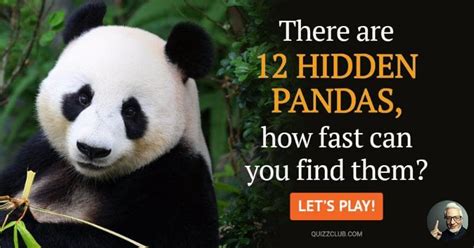 There Are 12 Hidden Pandas How Fast Poll Quizzclub