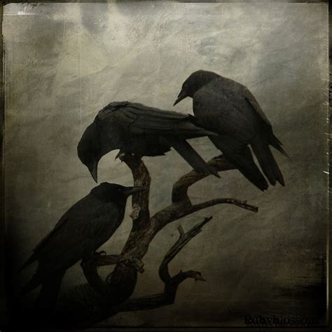873 Best Best Art Crows And Ravens Images On Pinterest Crows Ravens