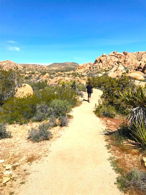 Joshua Tree Hiking Trails Johnrieber