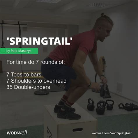 Springtail Workout Functional Fitness Wod Wodwell In 2021 Wod