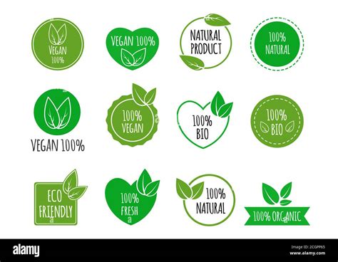 Set Of Bio Healthy Food Badges Vegan Organic Logos Vector