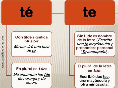 Té Vs Te Ortografía Gramática Española Clase De Español