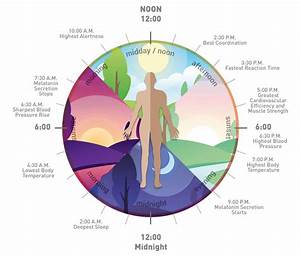 What Is Circadian Lighting And How Does Circadian Lighting