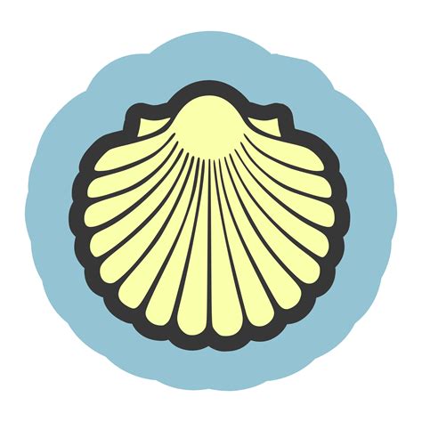 Seashell Vector Png