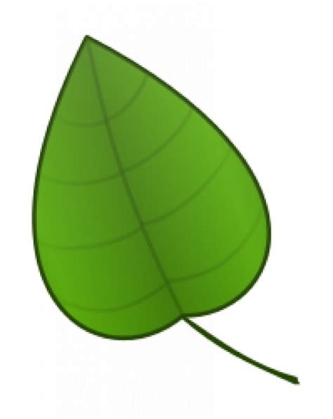 Free Vector Green Leaf Cartoon