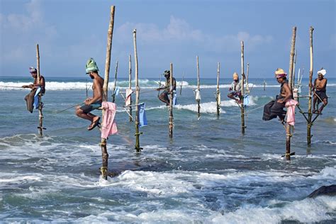 Stilt Fishing On The Galle Coast A Sri Lankan Tradition Travel