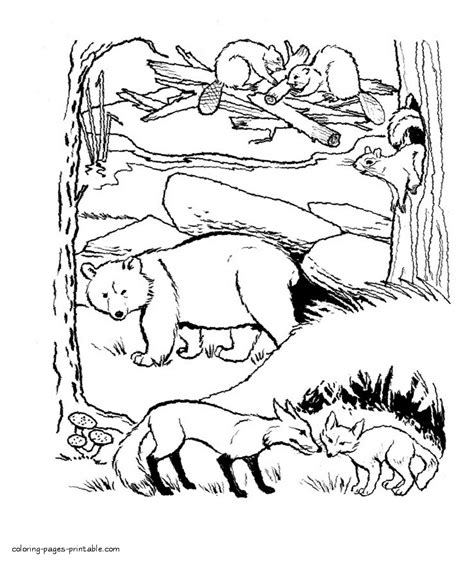 Forest animals coloring page || COLORING-PAGES-PRINTABLE.COM