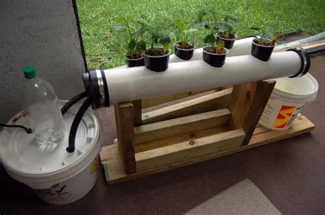 Simple Diy Hydroponic Systems To Implement In Your Indoor Garden