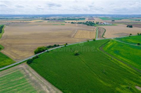 Green Fields And Plantations Sown With Grain Countryside And