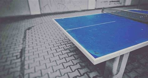 Top 10 Best Ping Pong Tables In 2023 For Every Budget