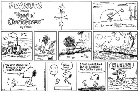June 1979 Comic Strips Peanuts Wiki Fandom