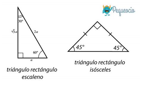 Triángulo Rectángulo Características Y Fórmulas Pequeocio 2023