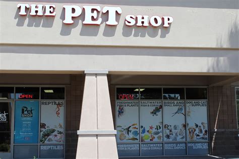 Photos Of The Pet Shop The Pet Shop
