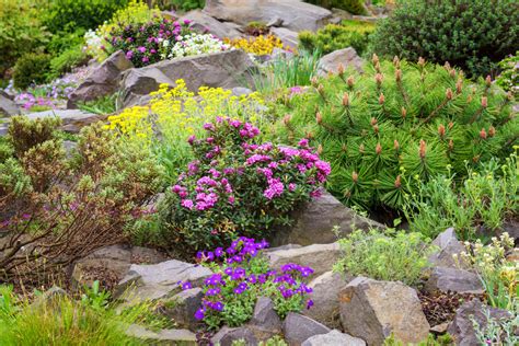 Choose from 4,149 printable design templates, like rockery pictures posters, flyers, mockups, invitation cards, business cards, brochure. How to build a rockery - The English Garden