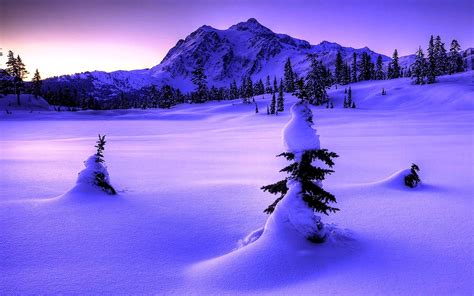 46 Widescreen High Resolution Winter Wallpaper On Wallpapersafari