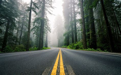 Hd Road Leading To The Fog Wallpaper Download Free 149716