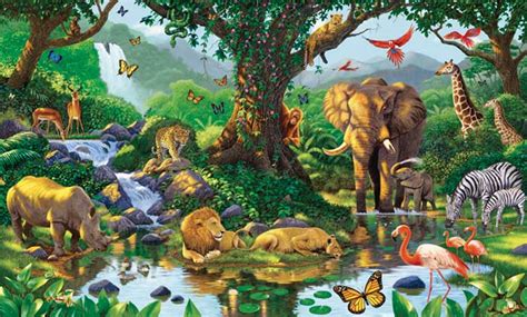 Natures Harmony Wall Mural Nice Pictures