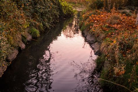 Autumn Leaves River Reflection Free Stock Photo Shotstash
