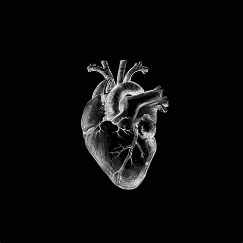 Download Realistic Heart Pfp Wallpaper