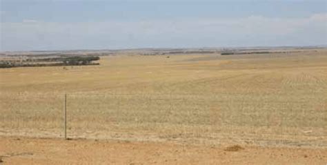 A Typical Australian Dryland Farming Landscape Cropland With Little
