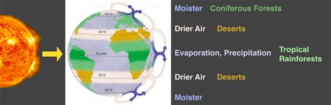 2a4 Climate And Biomes Biotas