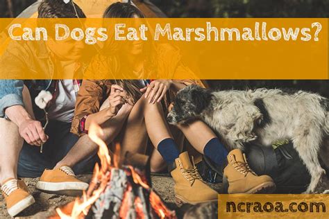 My dogs ate french fries! Can Dogs Eat Marshmallows? Are They Bad For Them ...