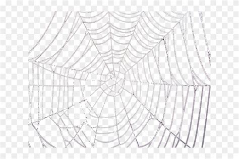 Drawn Spider Web Transparent Tumblr Spider Web Hd Png Download