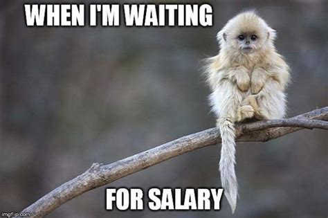 20 Really Funny It Hurts Your Wallet Salary Memes
